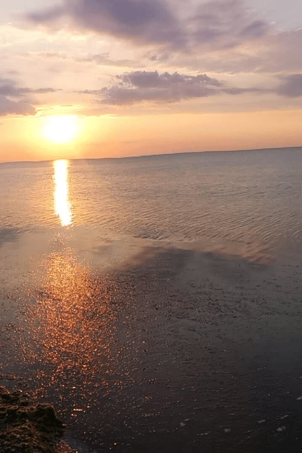 ca-pestele-in-apa-aplomb-calafat-popam-ue-6