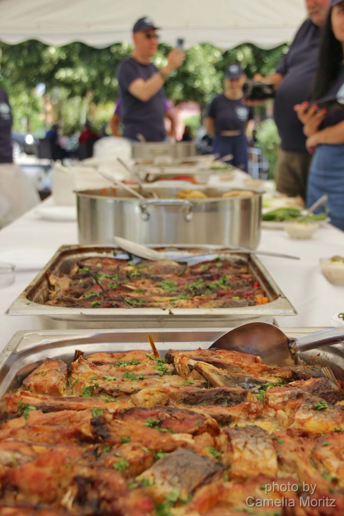 expozitie-culinara-festival-calafat-juvelnicul cu randuieli-ca-pestele-in-apa-popam-proiect-calafat-asociatia-aplomb-1